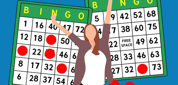 beginner-s-guide-to-online-bingo