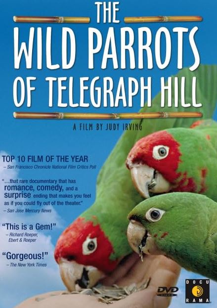 The Wild Parrots of Telegraph Hill (2003)